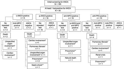 Figure 1 Two-year follow-up of patients with an initial positive for ANCA and their outcomes.