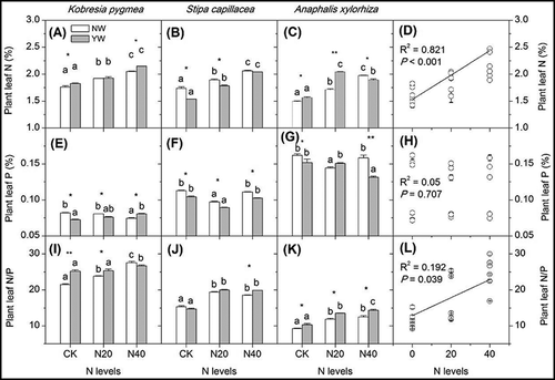 Figure 1. Effects of warming and N addition on the N (A–C) and P (E–G) and N/P (I–K) content in mature leaves of three plant species, and the responses of N (D), P (H), and the N/P ratio (L) in plant leaves to N addition levels. Only significant differences were showed between warming treatments. Ns, *, **, *** represent P ≥ 0.05, P < 0.05, and P < 0.01, P < 0.001 among warming treatments under the same N treatment. Different lowercase letters represent significant differences among N levels under the same warming treatment. NW and YW represent no-warming and year-round warming treatments, respectively. Below was the same.