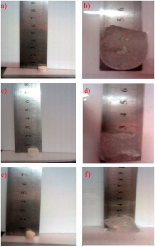 Figure 1. Photographs of initial dried state (a, c and f) and fully swollen states after immersion in 0.01 N HCl at ambient temperature (b, d and f) of SPH (formula 1S), SPHC (formula 2SC) and SPHH (formula 9SH) systems, respectively.