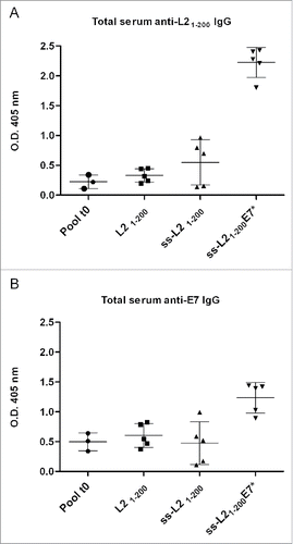 Figure 10. Humoral immunological response to L21–200 and E7* in mice after vaccination with the L21–200, ss-L21–200 and ss-L21–200-E7*. C57BL/6 mice were immunized as described in Fig. 5D. Data for ELISA test were generated for sera collected from every mouse (m 1-5: mouse 1-5) of each vaccination group after coating with either His6-L21–200 (Fig. 10A) or His6-E7 (Fig. 10B) and are reported from one representative experiment. Humoral specific serum IgG responses are presented as optical density values at 405 nm of 1:100 diluted sera. The mean titer value from each group is marked with a dash. Pool t0: average of pool of pre immune sera for each treatments. Means and variances are significantly different (p < 0,05) according to the One-way ANOVA test and to the Bonferroni's multiple comparison test.