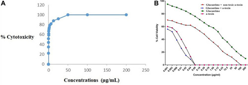 Figure 3 The CC50 of α-toxin on macrophages (A) The calculation of CC50 of α-toxin, using the results of different concentrations of α-toxin on macrophage (J774-A1) at 20 concentrations in serial dilution starting from 0.0003 ug mL−1. The percentage of cellular cytotoxicity, determined by MTS assay after treatment with the indicated doses of α-toxin after 1hr at 37°C. (B) IC50 of α-toxin, glucantime, α-toxin + glucantime and α-toxin (non-toxic dose)+ glucantime. The calculation of IC50 of glucantime and α-toxin using the results of different concentrations of glucantime or α-toxin on amastigote forms of L. major at 18 concentrations in serial dilution starting from 0.001 ug/mL. Moreover, for calculation of IC50 of glucantime + α-toxin, using the results of different concentrations of glucantime (0.001–200 ug mL−1) along with non-cytotoxic concentration of α-toxin (0.003 ug mL−1) on amastigote forms of L. major. The percentage of cellular viability, measured by counting the number of amastigotes in each macrophage by examining 100 macrophages on each coverslip and comparing them with those obtained in positive control with light microscope after 48 h incubation at 37°C, 5% CO2.