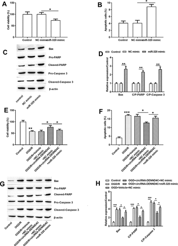 Figure 5. miR-320 mimic impeded H9c2 cell’s growth by facilitating apoptosis and hindering viability