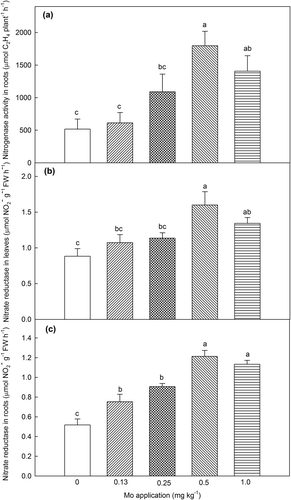 Figure 2 (a) Nitrogenase activity in roots, (b) nitrate reductase activity in leaves and (c) nitrate reductase activity in roots of hairy vetch (Vicia villosa Roth) at various levels of molybdenum (Mo). Error bars indicate the standard error of the mean (n = 3, mean ± SE). Bars with different letters differ significantly [least significant difference (LSD) test, P ≤ 0.05]. FW: fresh weight.