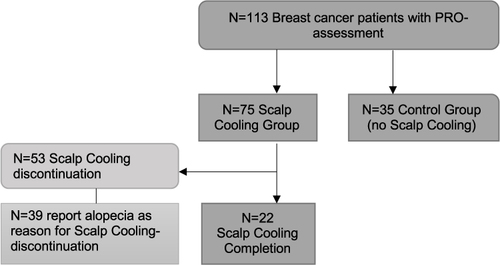 Figure 1 Study flow chart.