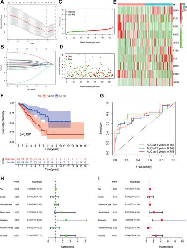 Figure 5 Establishment of a 10 pyroptosis-related lncRNAs-based OS signature. (A and B) LASSO analysis with minimal lambda value. (C and D) Risk score and survival status of each patient in the training cohort. (E) Heatmap of 10 pyroptosis-related lncRNAs in the training cohort. (F) Kaplan–Meier analysis of patients in the high risk and low risk groups in the training cohort. (G) Time-dependent ROC analysis of risk score in predicting prognoses. (H and I) Univariate and multivariate Cox analyses of the risk score and clinical variables in the training cohort.