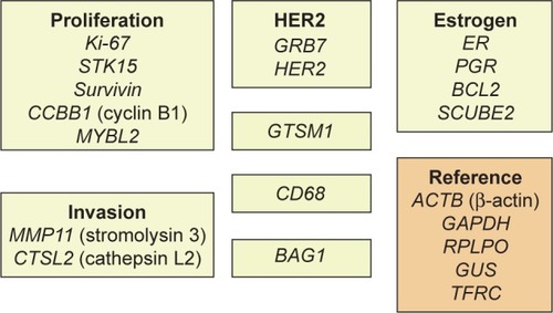 Figure 1 Twenty-one genes of the recurrence score.