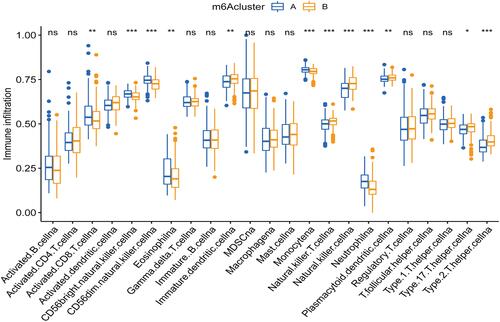 Figure 3 Box plot comparing the abundance of immune cell infiltrates between different m6Aclusters. The upper and lower ends of the boxes represented the interquartile range. The lines in the boxes represented median value, and blue(yellow) dots indicate outliers. The asterisks represent the statistical p-value. *P < 0.05; **P < 0.01; ***P < 0.001.