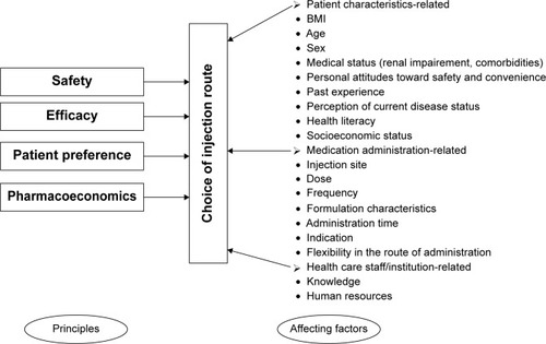 Figure 2 Principles and affecting factors associated with the choice of injection route.