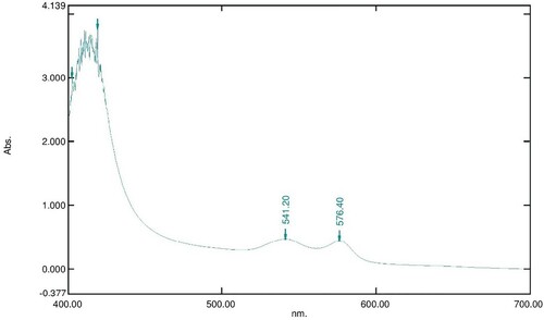 Figure 6. Absorption spectrum of 800 µl of 16 mM OxyHb in 10 Mm phosphate buffer at pH 7.6 with 100 µl of 40 mg/ml LAFRF for 3 h at 25°C.