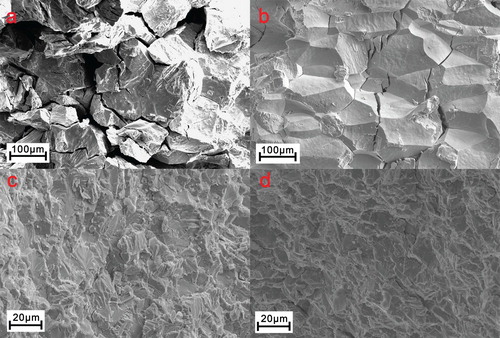 Figure 3. Scanning electron fractographs for the (a) Ni51.5Mn33In15.5, (b) Ni51Mn33In14Fe2, (c) (Ni51.5Mn33In15.5)99.4B0.6 and (d) (Ni51Mn33In14Fe2)99.4B0.6 alloys, respectively.
