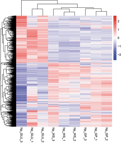 Figure 3. Heatmap and hierarchical clusters of significantly expressed genes of Neofusicoccum parvum Bt-67 grown with different carbon sources. GP = grapevine canes; WS = wheat straw; GLU = glucose. Numbers after carbon source treatments indicate biological repetitions. The scale from red to blue represents the log10(FPKM+1) value, where red indicates high expression levels and blue low expression levels. FPKM = fragments per kilobase of transcript sequence per millions mapped reads.