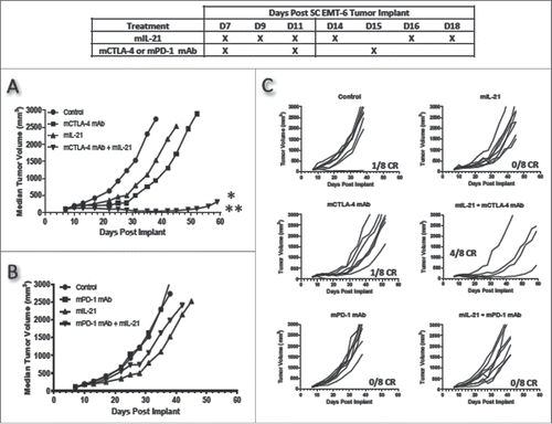 Figure 1. mIL-21 combined with either mCTLA-4 or mPD-1 mAb in the EMT-6 mammary carcinoma tumor model. (A) Antitumor activity of mIL-21 (50 μg/mouse) and mCTLA-4 mAb (clone UC10-4F10; 400 μg/mouse) and (B) antitumor activity of mIL-21 (50 μg/mouse) and PD-1 mAb (clone 4H2-mIgG1; 200 μg/mouse), when administered alone or in combination on the days indicated in the table. Median tumor volumes (left hand panels) and individual tumor volumes (right hand panels) are plotted vs. days post implant for control (untreated; circles), mCTLA-4 or mPD-1 mAb- (squares), mIL-21- (triangles), or mIL-21 + mAb (inverted triangles)-treated groups. CR = complete regression. Asterisks (*, **) indicate p < 0.05 or p < 0.01, respectively, for differences between the mCTLA-4 mAb + mIL-21 combination group and the mCTLA-4 mAb group (p < 0.05), or the combination group and either the control or mIL-21 group (p < 0.01) for ‘treatment effect’ by 2-way repeated-measures ANOVA. Data are representative of results from two separate studies.