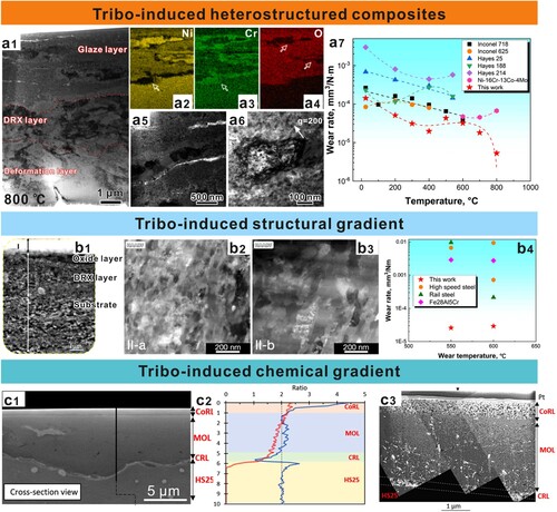 Figure 3. (a1) Cross-sectional TEM characterization of the worn Ni–27Cr superalloy after 9000 cycles at 800°C with corresponding EDS (a2–a4) mapping results. Magnified TEM observation of the (a5) unoxidized regions and (a6) one DRX grain in the glaze layer. (a7) Summary of wear rates for the Ni–27Cr sample and some commercial Ni-based superalloys from the literature [Citation63]. (b1) SEM characterization of the subsurface under the wear track of the pearlite steel after sliding test at 550°C. HAADF STEM images of (b2) fine and (b3) coarse recrystallized region. (b4) Wear rate of various existing steels and present pearlitic multi-principal element alloy [Citation61]. (c1) Cross-sectional SEM observation and associated (c2) EDX linescan analysis of the wear track after the glaze layer formation in the Haynes 25 superalloy. (c3) TEM observation of the lamella in bright field [Citation62].