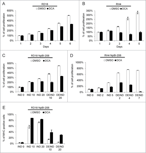 Figure 8. DCA inhibits ERMS and ARMS cell proliferation and sustains myogenic differentiation upon miR-206 withdrawal in ERMS cells. (A) MTT analysis of RD18 cells treated or not with 10 mM DCA for the indicated days. The number of cells at day 0 was set at 100%. (B) MTT analysis of RH4 cells treated or not with 10 mM DCA for the indicated days. The number of cells at day 0 was set at 100%. (C) MTT analysis of RD18 NpBI-206 cells treated or not with 10 mM DCA, in presence of doxycycline (miR-206 induced, IND) or after doxycycline withdrawal (miR-206 de-induced, DEIND) for the indicated days. The number of cells at day 0 was set at 100%. (D) MTT analysis of RH4 NpBI-206 cells treated or not with 10 mM DCA, in presence of doxycycline (miR-206 induced, IND) or after doxycycline withdrawal (miR-206 de-induced, DEIND) for the indicated days. The number of cells at day 0 was set at 100%. (E) Flow cytometry quantification of MHC expression in RD18 NpBI-206 cells treated or not with 10 mM DCA, in presence of doxycycline (miR-206 induced, IND) or after doxycycline withdrawal (miR-206 de-induced, DEIND) for the indicated days.