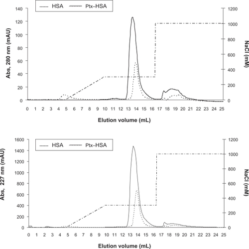 Figure 2 Ionic exchange chromatography of HSA and paclitaxel–HSA complexes. Chromatography on Mono Q® of HSA (-----) and HSA-paclitaxel. Samples of 0.5 mg HSA (1 mg/mL) and 1.25 mg HSA-paclitaxel (5 mg/mL HSA and 0.214 mg/mL paclitaxel) were bound to a Mono Q® column (HR 5/5) at room temperature in 50 mM sodium phosphate (pH 7.0) and eluted with 0.3 M NaCl in 50 mM sodium phosphate (pH 7.0).Abbreviation: HSA, human serum albumin.