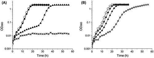 Figure 1. Growth curves of the wild type strain (A) and ΔnirK strain (B) of R. sphaeroides IL106 in the absence (open circle) or presence of nitrite. Nitrite concentration was 2 mM (filled square), 5 mM (filled triangle), and 10 mM (asterisk), respectively. Data shown are the mean of triplicate culture tubes.
