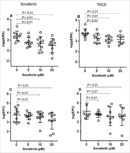 Figure 4. Effect of in vitro sorafenib treatment on ERK phosphorylation levels and absolute number of EPC. PBMC samples from HCC patients after treatment with sorafenib (A, C) or TACE (B, D) were treated with different concentrations of sorafenib (0–20 μM) in vitro and the number of pERK+ EPC and absolute number of EPC was measured as described in the Materials and Methods section. Each symbol (Display full size) represents an individual HCC patient and lines represent mean values for the group.