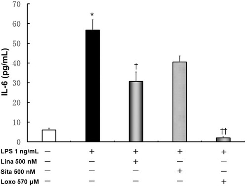 Figure 2 Effects of linagliptin, sitagliptin, and loxoprofen sodium salt dehydrate (Loxo) treatment on LPS-induced IL-6 production. Human U937 monocytes were treated with LPS and/or linagliptin, sitagliptin, or Loxo, and IL-6 levels in the supernatant were evaluated. *p < 0.0001 versus the control; †p < 0.05 versus LPS; ††p < 0.01 versus LPS.Abbreviations: Lina, linagliptin; Sita, sitagliptin; Loxo, loxoprofen sodium salt dehydrate.