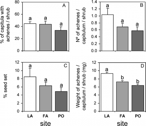 Figure 2 Mean seed output expressed as (A) %CA, (B) NAC, and (C) (%SS), and seed quality expressed as (D) weight of achenes per capitulum per shrub (mg) in shrubs of Chuquiraga oppositifolia at three different sites in the lower alpine belt (subandean scrub vegetation belt) in the central Chilean Andes. Lagunillas (LA—33°33′S, 70°16′W) at 2000m (white bars), Farellones (FA —33°19′S, 70°17′W) at 2300m (light gray bars), and Portillo (PO—32°51′S, 70°10′W) at 2550m (dark gray bars). Bars are means +1 SE. Treatments (sites) sharing the same letter for any given response variable do not differ significantly (P> 0.05). Ten replicate shrubs were monitored at each site.