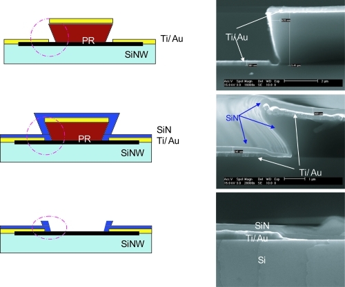 Figure 5 Schematic drawing of the process flow for passivation (left) and corresponding SEM images (right).