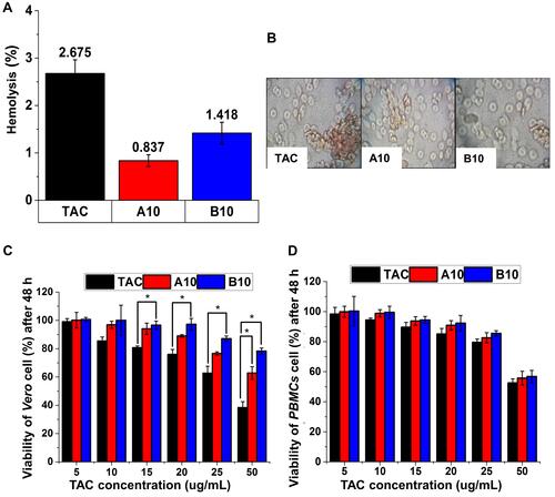 Figure 4 In vitro toxicological assessment (I): Hemolytic activity test of A10 and B10 expressed as (A) % hemolysis (mean±SD) and (B) optical microscopic images of RBCs at the end of hemolysis test. Cytotoxicity test by MTT assay of prepared A10 and B10 on (C) Vero kidney cell line and on (D) PBMCs cell line after 48h of incubation [* P≤ 0.05 vs TAC, mean ± SD].