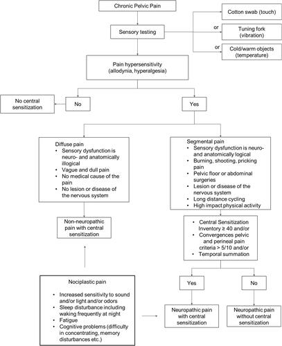 Figure 2 Flowchart of the clinical criteria suggestive of central sensitization in women with chronic pelvic pain.