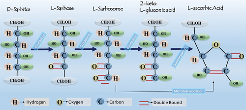 Figure 1. Chemical structure of Ascorbic acid and conversion of D-sorbitol to L-Ascorbic acid via 2-keto-L-gulonic acid.