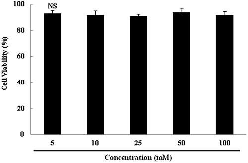 Figure 2. Effect of 2,7″-phloroglucinol-6,6′-bieckol on cytotoxicity in 3T3-L1 cells. Cells in 96-well plates (2 × 104 cells/well) were incubated with and without indicated concentrations of 2,7″-phloroglucinol-6,6′-bieckol for 20 h. Each value is expressed as mean ± SD.