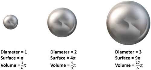 Figure 3. Sketch illustrating the effect of size on the surface to volume ratio.