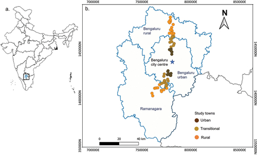 Figure 1. a. Map of India with state borders. Bengaluru Metropolitan Region is highlighted inside a box in the state of Karnataka, and b. the three districts of the metropolitan region showing the study towns along the rural-urban gradients.