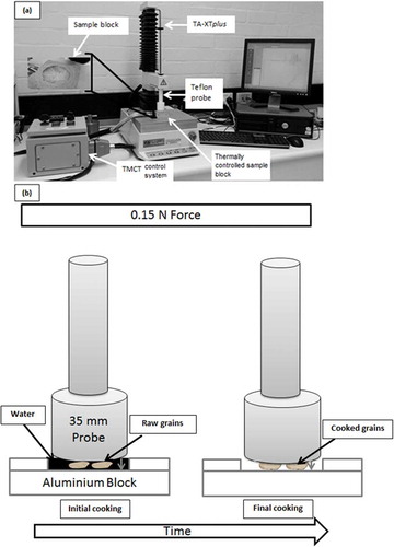 Figure 1. Illustration of grain softening during soaking and cooking, A: Overall experiment assembly; and B: Pictorial representation of measurement process.