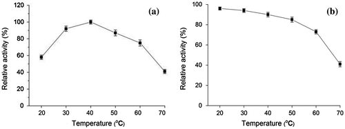 Fig. 4. Effect of temperature on laccase activity (a) and stability of purified laccase (b) Relative activity on laccase activity was defined as the percentage of activity measured with respect to the maximum enzyme activity. Original enzyme activity on stability of laccase was defined as 100%.