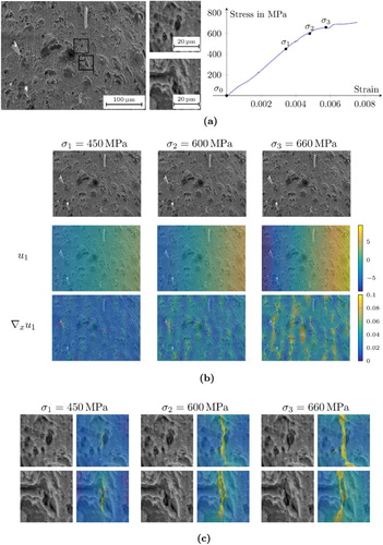 Figure 7. Results on crack propagation by the TGV model. (a) Microstructure images without load (σ0=0MPa) and stress–strain curve, (b) Displacement u1 in μm (1μm=2px) and the strain ∇xu1. The colourbar for the strain is cut off at 0.1 to make smaller values under low load visible, and (c) Two enlarged regions and the strain ∇xu1 for increasing loads. The colour map for the strain is cut off at 0.1 to make smaller values under low load visible.