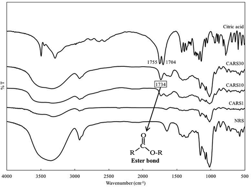 Figure 2. FT-IR spectra of citric acid, native, and cross-linked rice starches prepared with different concentrations of citric acid (1–30%).