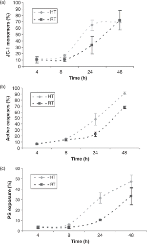 Figure 1. Kinetics of Δψm transition, caspase activation and PS exposure associated with heat- and radiation-induced apoptosis of HL60 cells. HL60 cells were exposed to 43°C during 1 h (HT) or to 8 Gy γ-radiation (RT). Figures show the percentage of cells, within the total population of 10 000 counted cells, showing fluorescence. (a) Reduction of Δψm determined by the extent of mitochondrial JC-1 uptake. JC-1 monomers represent a decreased Δψm, whereas with a normal Δψm, JC-1 aggregates in mitochondria to a crystalline structure. At the indicated time, the percentage of cells with JC-1 monomer fluorescence were determined with the flow-cytometer. (b) Percentage of cells with activated caspases determined using FLICA. (c) The percentage of cells with PS exposed to the outer leaflet of the cell membrane determined with Annexin V-FITC binding to PS. The results are the mean ± SD (n = 3).