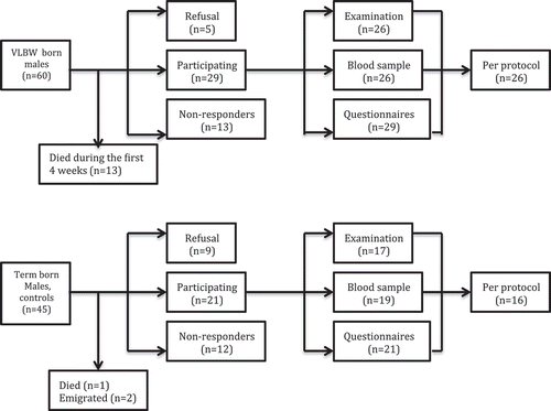 Figure 1. A flowchart of the number of participants in a follow-up study of 60 men born with very low birth weight (VLBW) and 45 controls born healthy at term.A healthy control boy was selected for each of the 47 VLBW boys who survived the neonatal period, that is the first four weeks. This follow up was performed when the men were 26–28 years old included questionnaires (which could be sent to the men who did not accept to come to a personal visit), physical examinations and blood sampling for a number of hormonal analyses. The figure shows the number of men in each group who participated in different steps of the study and also the drop-outs from the original groups.