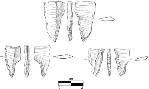 Figure 6. The three projectile point tangs of the Havelte variant found at Jels 3. Drawn by Louise Hilmar, Moesgaard Museum.