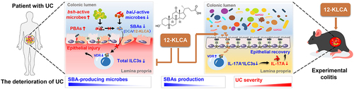 Figure 10. Integrative diagram showing the main results obtained from the present work.