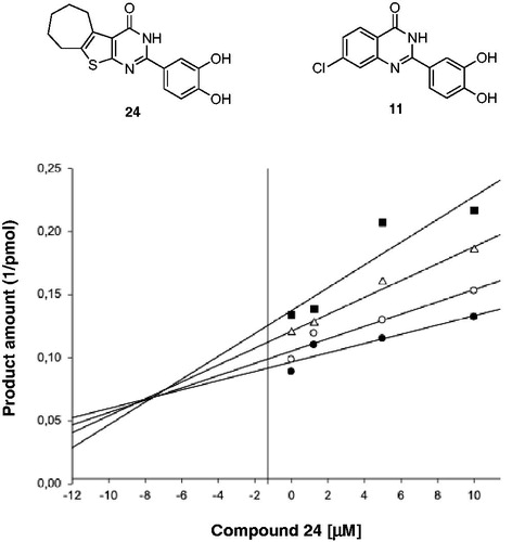 Figure 3. Yonetani–Theorell analysis. Combination of compound 11 and 24 on HIV-1 RNase H activity. HIV-RT was incubated in the presence of 24 alone (●) or combined with increasing concentrations of compound 11: 2,5 µM (O); 5 µM(Δ) and 10 µM (■).