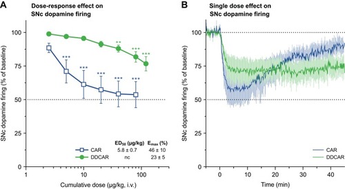 Figure 10 CAR and DDCAR inhibit spontaneous dopamine neuronal firing in the rat SNc. (A) Dose–response effect of systemic CAR (n=9) and DDCAR (n=7) administration on firing of SNc dopamine neurons. Inhibition of firing activity of dopamine neurons by CAR was more substantial than the effect exerted by DDCAR. **P<0.01; ***P<0.001 vs vehicle by Dunnett’s post hoc test. (B) Inhibition of SNc dopamine firing by a single dose (applied at time=0 min) of CAR (10 µg/kg, i.v.; n=6) or DDCAR (120 µg/kg, i.v.; n=5). Note the long-lasting inhibitory action of DDCAR on neuronal firing. CAR data are also depicted in Delcourte et al.Citation28 The number of recorded neurons is indicated by n.