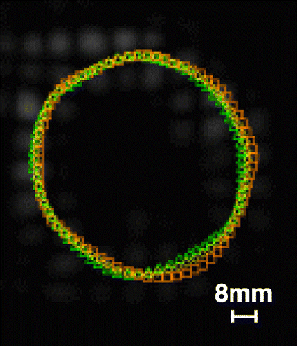 Figure 2. HARP evaluation with: ΔP1,2+; □P1,2−; ⋄P1,2PC. (View this art in color at www.dekker.com.)