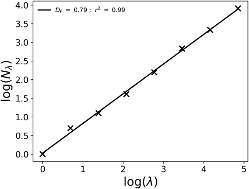 Figure 4. Computation of the fractal dimension (i.e. EquationEquation (2)(2) Nλ,A≈λDF(2) in log-log) of the initial field displayed in Fig. 3 (top row)