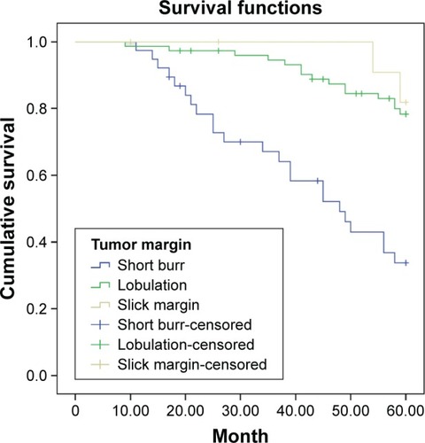 Figure 4 Survival curve of stage I non-small cell lung cancer patients with different computed tomography features of tumor margin.