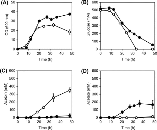 Fig. 2. Batch cultures of B. subtilis OA105 and OA105-ΔalsSD strains.Notes: (A) OD600, (B) glucose concentration, (C) acetoin concentration and (D) acetate concentration; open circles, OA105; closed circles OA105-ΔalsSD. All cultures were performed in triplicate, and the average ± standard deviation is shown.