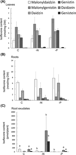 Fig. 2. Contents of isoflavones in soybean tissues and root exudates during growth under phosphate- and nitrogen-limited conditions.Notes: Each bar represents the mean ± SD of five replicates. Different letters indicate significant differences (p < 0.05) by one-way ANOVA with Tukey’s HSD test.