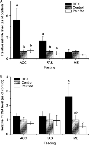 Figure 1.  Effects of 3-d DEX treatment (DEX, 2 mg/kg BM) on the hepatic expression of mRNAs for ACC, FAS, and ME in broiler chickens in fasting (A) and fed states (B) Values were determined in duplicate for each sample; values are means ± SEM (n = 8); a–bmeans with different letters differ significantly, P < 0.05, by ANOVA.