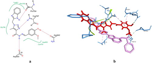 Figure 12. (a) 2D interaction of compound 6g with EGFR active site (PDB code: 2J6M). (b) Aligned conformation of compound 6g (Red) with co-crystallised ligand (Magenta) inside EGFR active site.