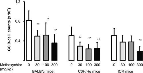 Figure 3.  Splenic germinal center (GC) lymphocyte levels. Levels (i.e. counts) of germinal center (GC) B-cells (PNA+CD19+) in spleens of female BALB/c, C3H/He, and ICR mice following MXC treatment. Values are expressed as mean ± SD (n = 7–8 per group). Value significantly different from the control (Dunnett’s multiple comparison test) at *p < 0.05 and **p < 0.01.