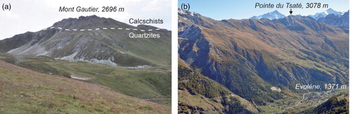 Figure 3. (a) Typical landscape at the north-east of St-Martin, with relict rock glaciers at the foot of quartzitic talus slopes. Processes are generally low or no longer active. (b) The smooth slopes dominating Evolène, made with calcschists of the Tsaté nappe.