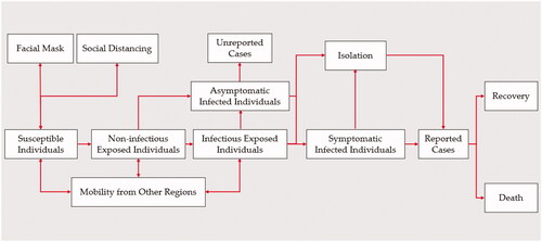 Figure 1. Structure of Infectious Diseases Dynamic Model.